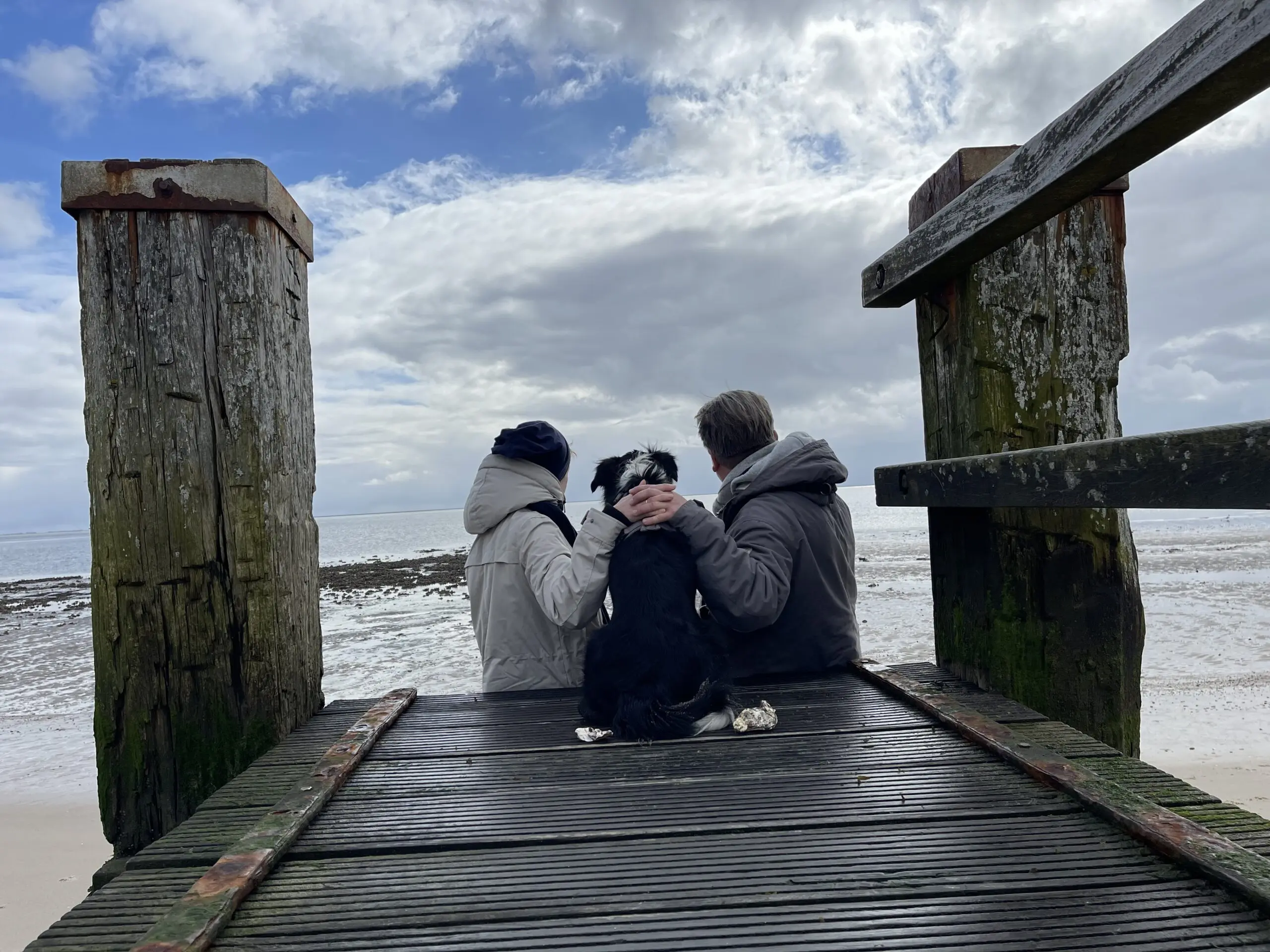 Marzipanpfoten auf Steg_Britta_Michael_Leni_Blick voraus in die Zukunft Auf`s Meer schauen
